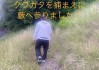 クワガタ採り (1)